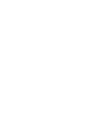 UPS Logo