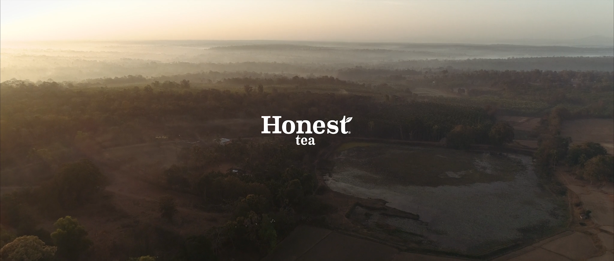 Eastward Branded Content Portfolio Image Honest Tea